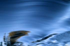 Nature Series #34  